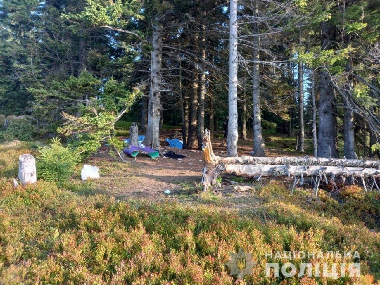 На территории, где отдыхали туристы, проходила Линия Арпада, выяснили в полиции