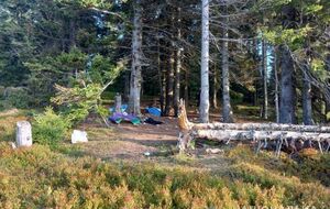 На території, де відпочивали туристи, проходила Лінія Арпада, з'ясували в поліції