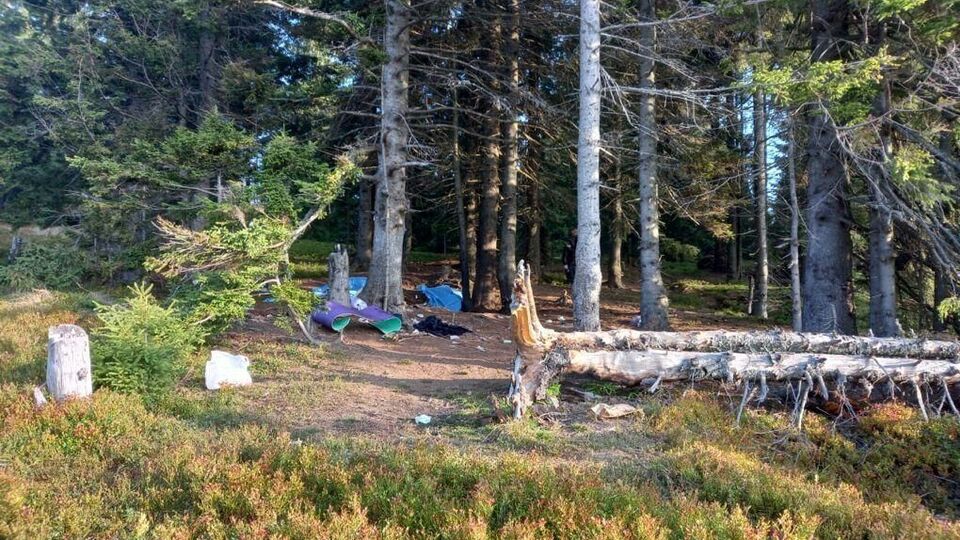 На территории, где отдыхали туристы, проходила Линия Арпада, выяснили в полиции