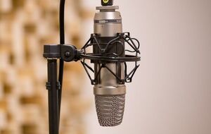 Нацсовет мониторил 14 радиостанций