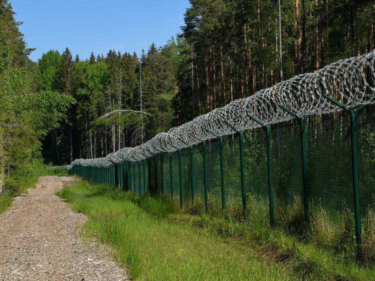 На границе Литвы с Беларусью проволока будет проложена на участке с наибольшим риском, отметила Шимоните
