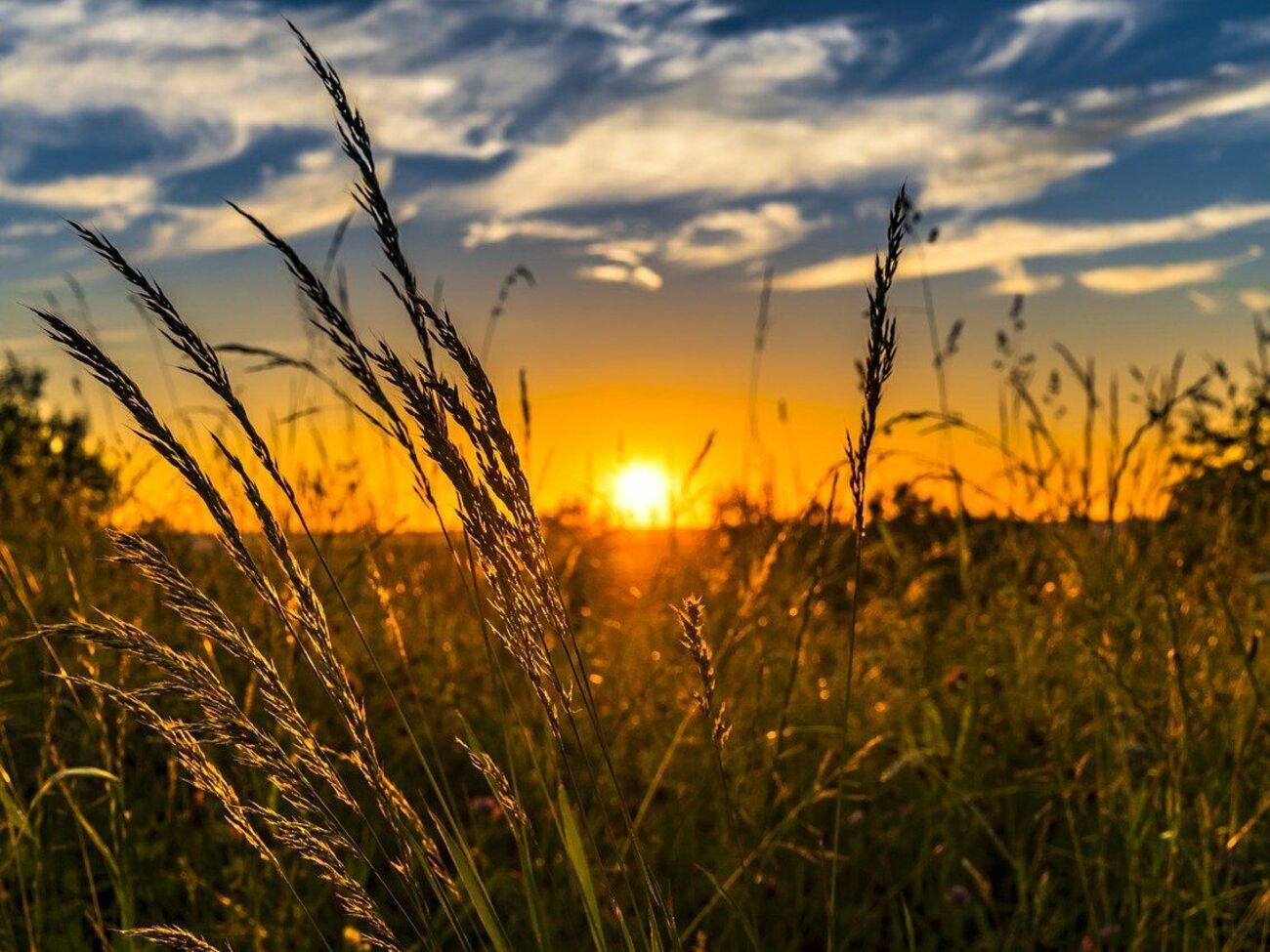 1 липня в Україні відкрився ринок землі