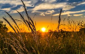 1 июля в Украине открылся рынок земли