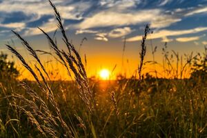 1 июля в Украине открылся рынок земли