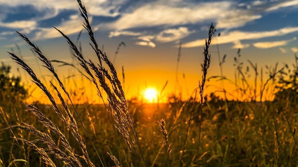 1 липня в Україні відкрився ринок землі