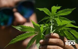 Спортсмену могут на четыре года запретить участвовать в соревнованиях, если он сдаст положительный тест на каннабис