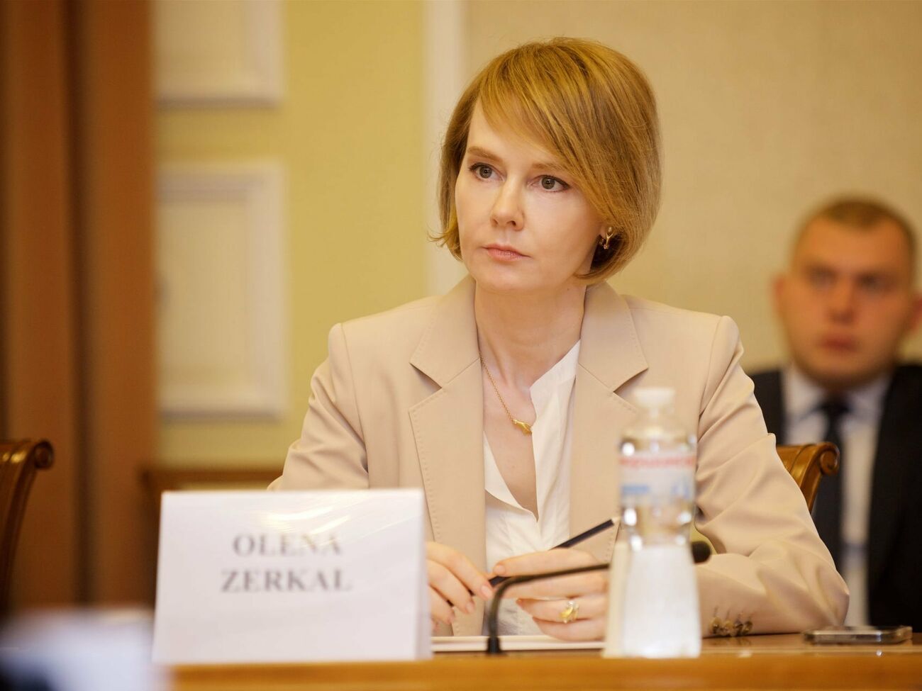 Зеркаль: Росіянам доведеться змінювати своє законодавство, і використовувати цю трубу зможе вже не тільки "Газпром"