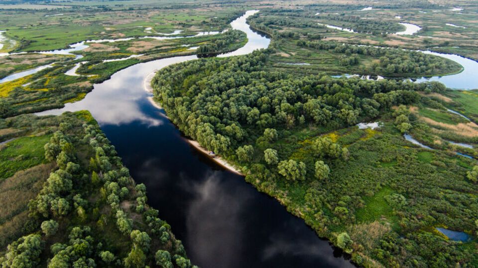 В Україні різко скорочуються популяції риб, заявляють у "WWF-Україна"