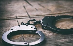 Затриманому загрожує покарання у вигляді позбавлення волі строком від п'яти до 10 років