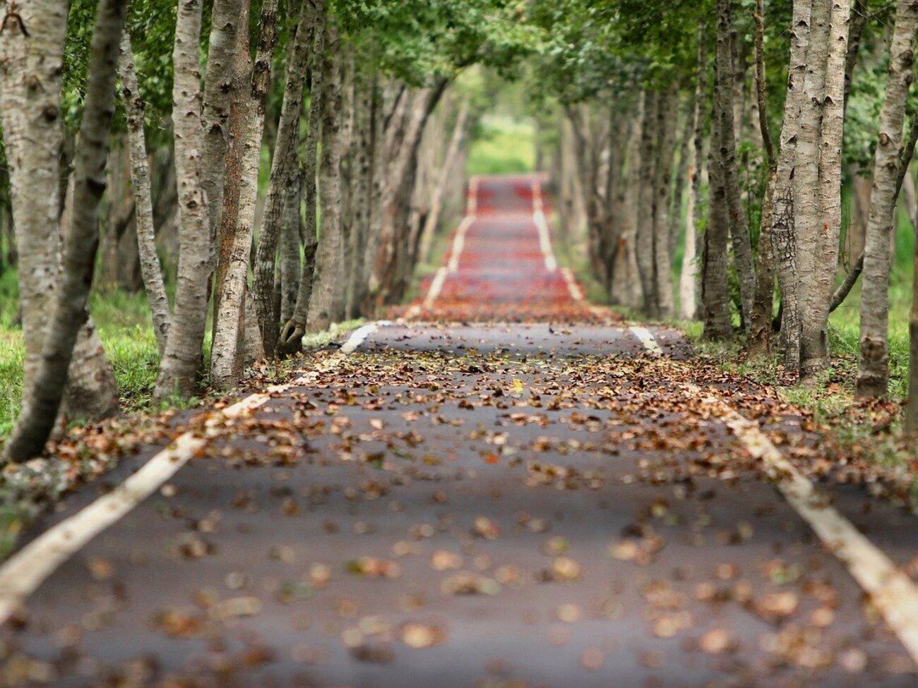Дневные и ночные температуры&nbsp;будут постепенно снижаться&nbsp;