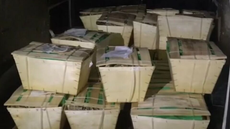 Мікроавтобус і морепродукти передали працівникам Державної митної служби України, зазначили в ДПСУ