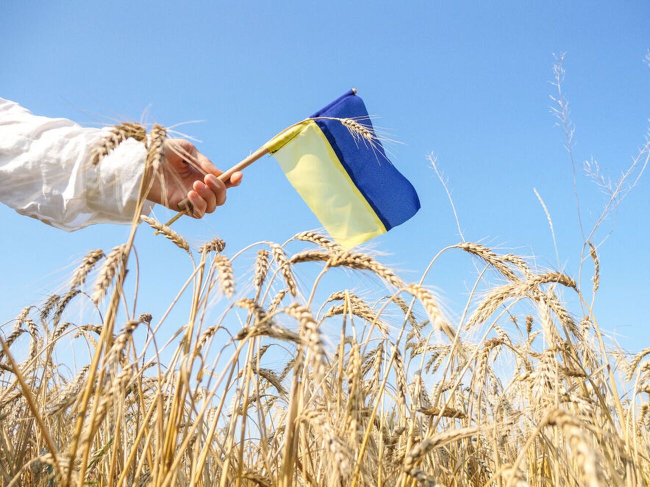 Місію, в межах якої український прапор доправлять на Місяць, заплановано на 2022 рік&nbsp;