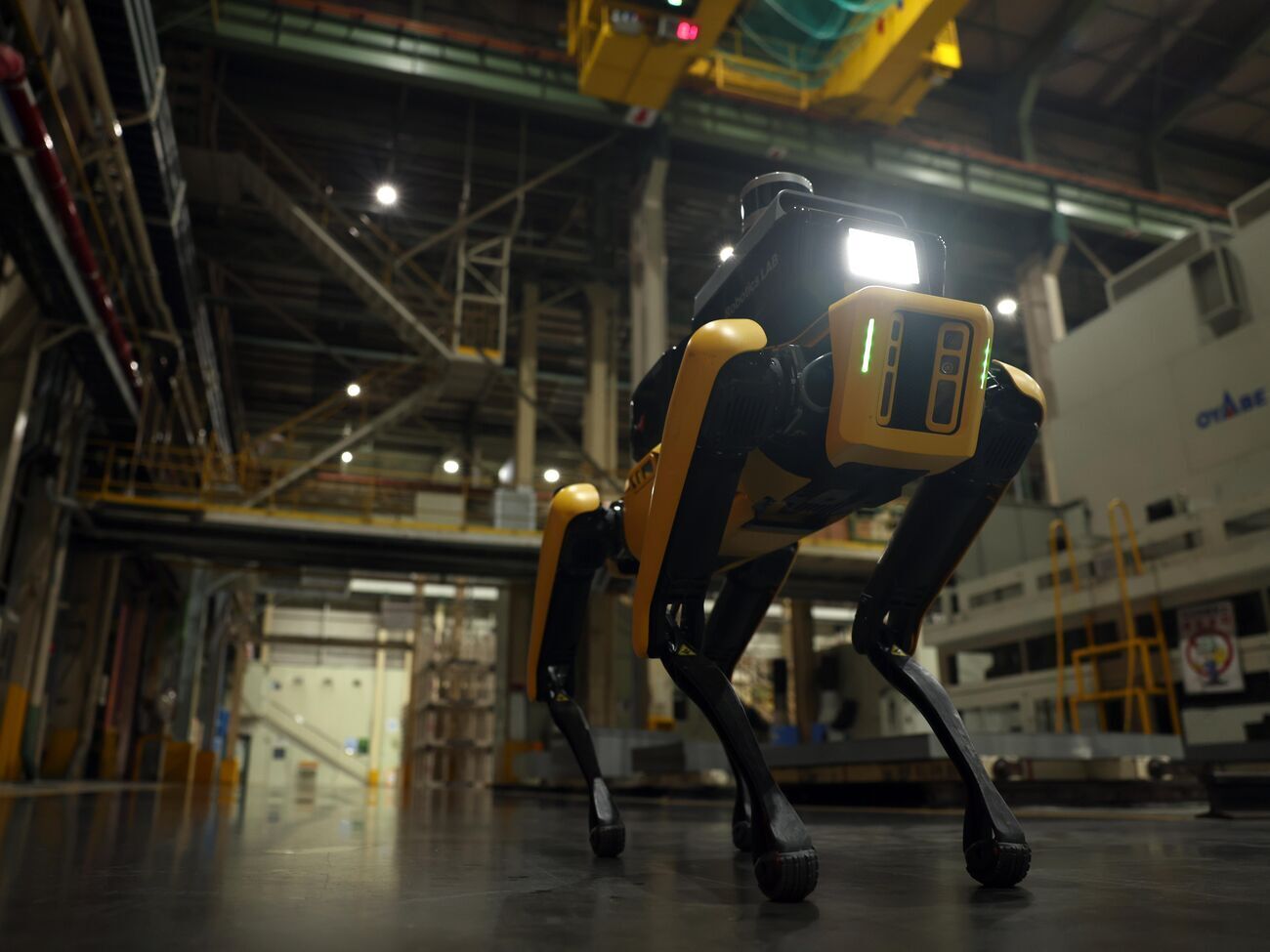 Service Robot – это модифицированная версия робота Spot