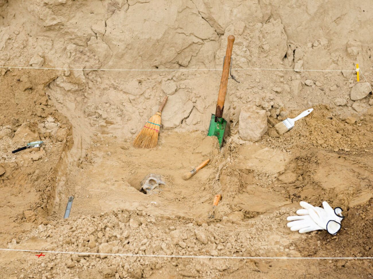 Ученые нашли 62 кости, которым от 90 тыс. до 120 тыс. лет