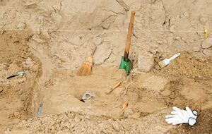 Ученые нашли 62 кости, которым от 90 тыс. до 120 тыс. лет