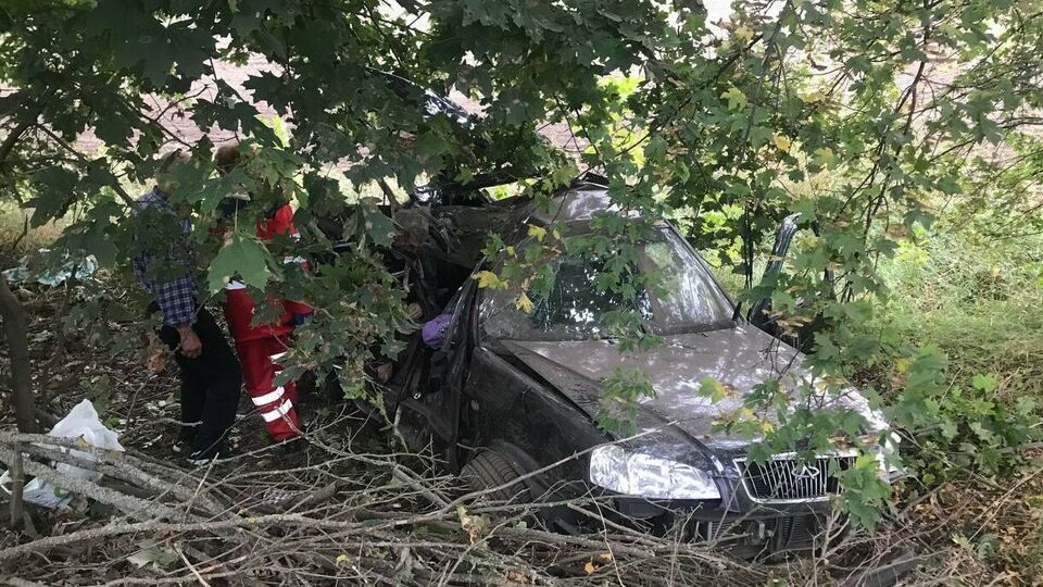 В аварии выжил только водитель