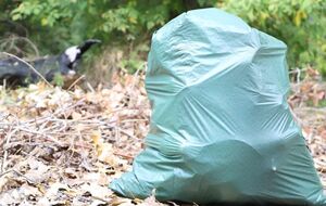 Екологічна акція відбулася на 22 локаціях столиці