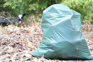 Экологическая акция прошла на 22 локациях столицы