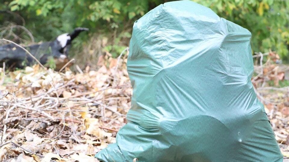Экологическая акция прошла на 22 локациях столицы