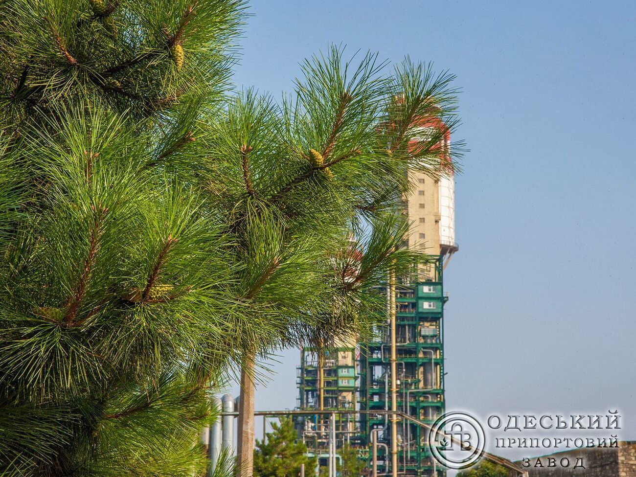 Одесский припортовый завод&nbsp;&ndash; одно из крупнейших госпредприятий в химической отрасли Украины