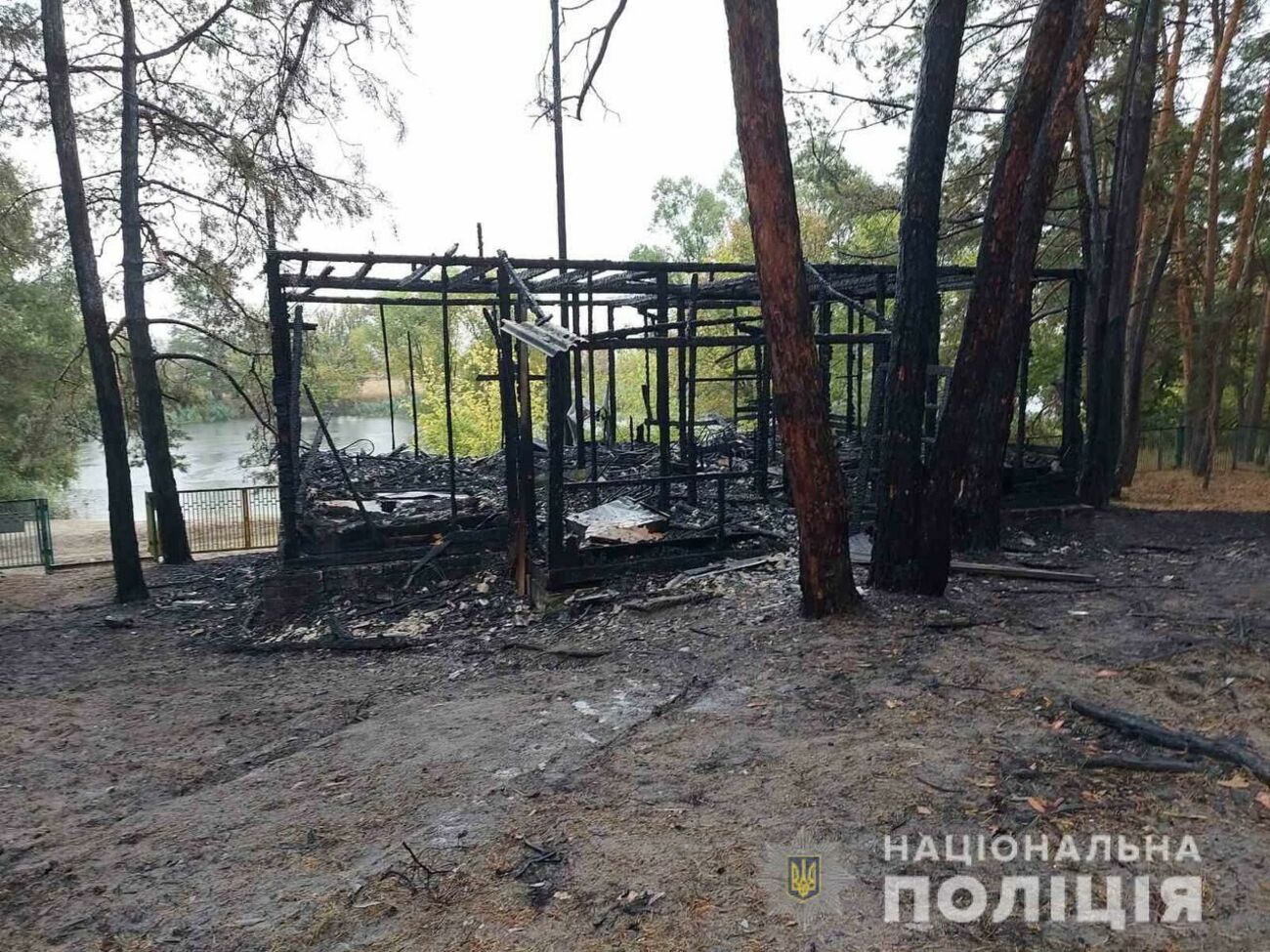 Во время пожара в доме находились 10 человек