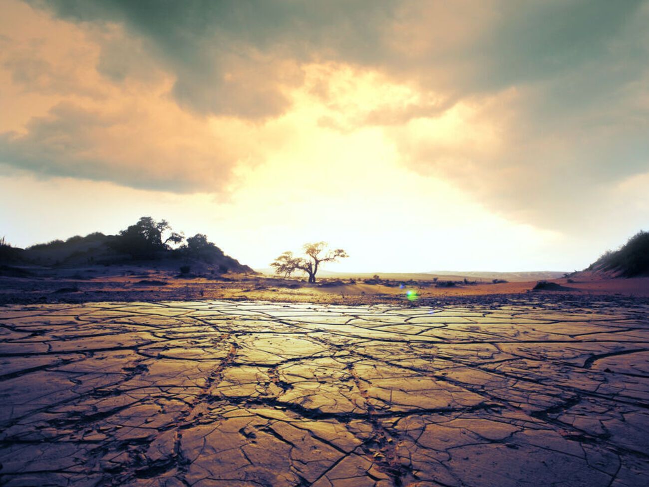 Україна стоїть перед загрозою масштабування Олешківських пісків на весь південь України, заявив експерт