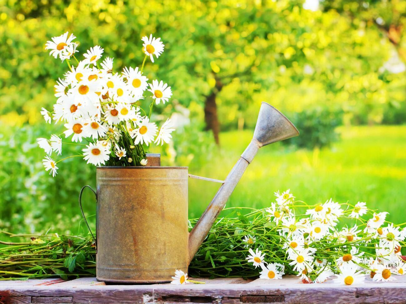 За лето было установлено 14 температурных рекордов, десять из них&nbsp;&ndash; в июне