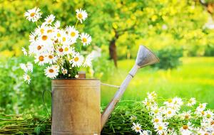 За лето было установлено 14 температурных рекордов, десять из них – в июне