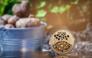 2 сентября исполнилось 25 лет украинской гривне