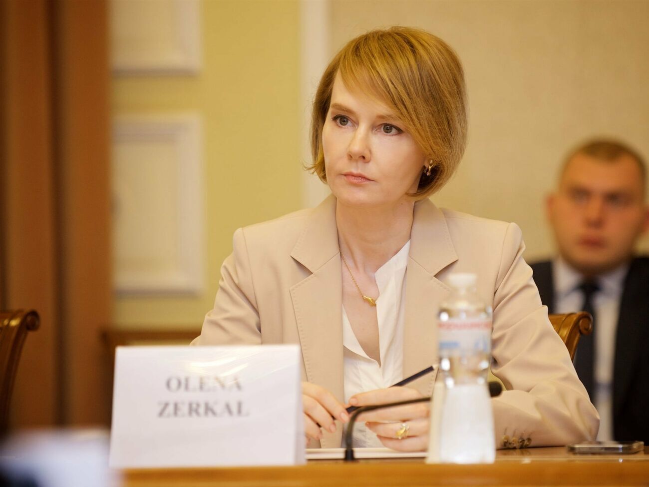 За словами Зеркаль, якщо Україну буде включено у європейський механізм "груп ризику", шантаж Кремлем України означатиме одночасно і шантаж Німеччини