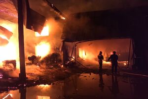 З охопленої полум'ям будівлі пожежники і місцеві жителі врятували 47 корів