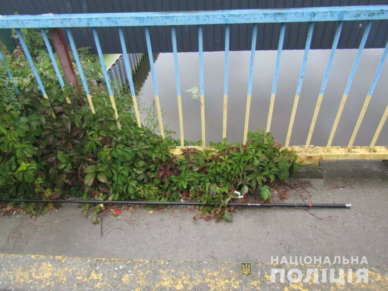 Несовершеннолетний рыбак, забрасывая удочку, леской задел ЛЭП