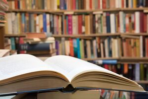 Коштів на закупівлю нових книжок у бібліотеки наступного року держава не виділила, кажуть у "Голосі"