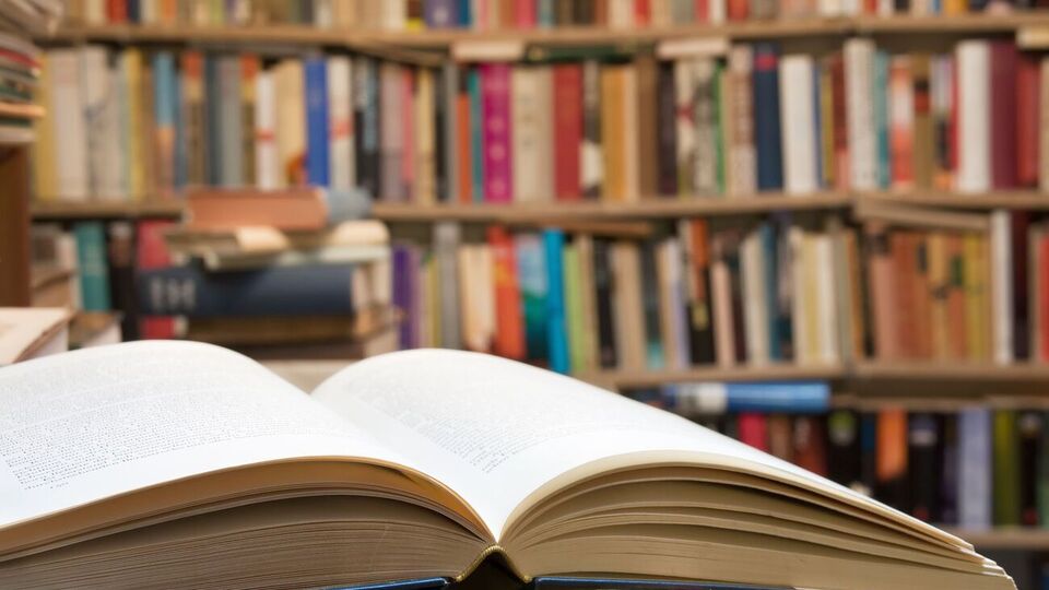 Коштів на закупівлю нових книжок у бібліотеки наступного року держава не виділила, кажуть у "Голосі"
