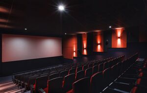 Кинотеатры, клубы, театры смогут работать и в период карантина, отметили в Минкульте