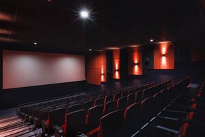 Кинотеатры, клубы, театры смогут работать и в период карантина, отметили в Минкульте