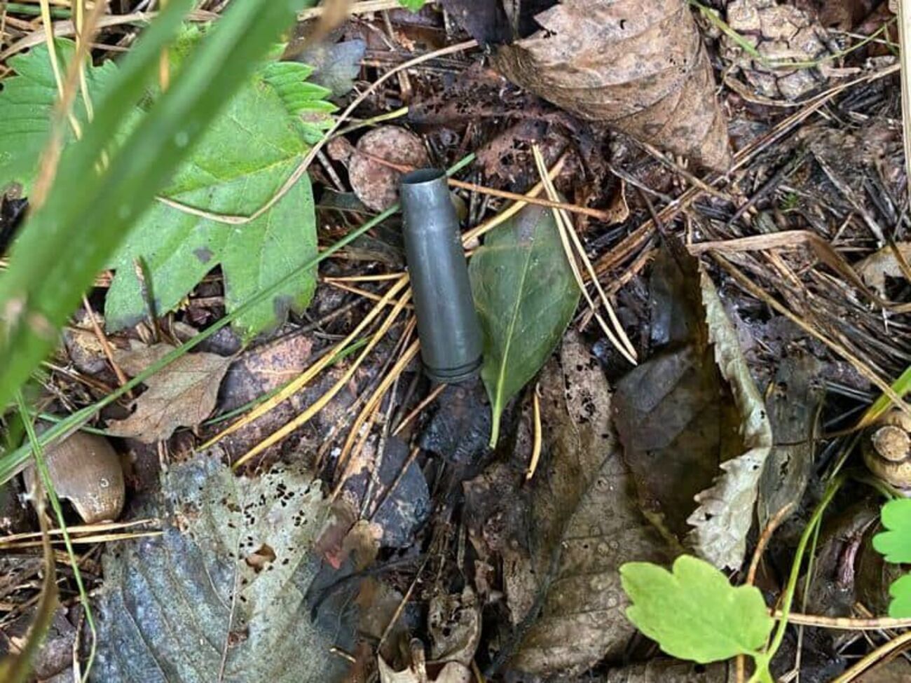 У МВС встановили позицію стрільця, який атакував машину першого помічника президента