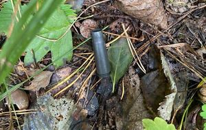 В МВД установили положение стрелка, атаковавшего машину первого помощника президента