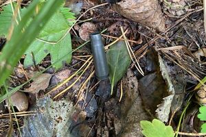 У МВС встановили позицію стрільця, який атакував машину першого помічника президента