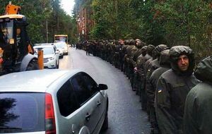 В полиции утверждают, что проверяли 430 га леса