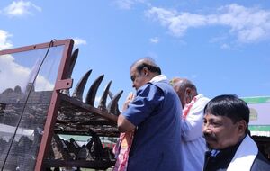 Усього спалили 2479 рогів