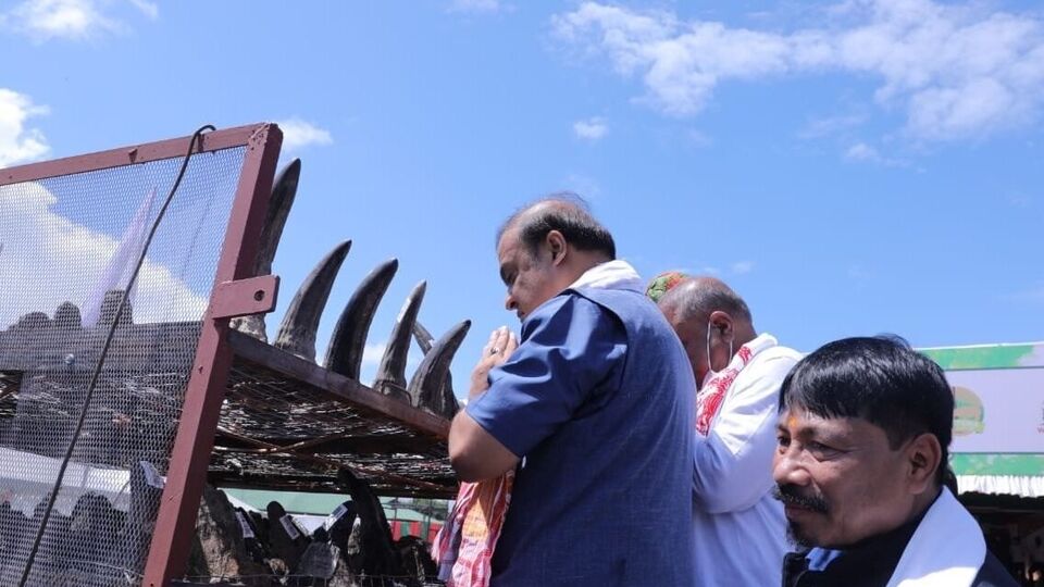 Усього спалили 2479 рогів