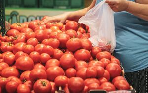В Россельхознадзоре обеспокоены "новым случаем заражения томатов" из Турции