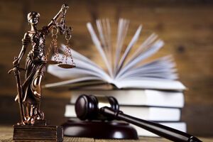 Суд принял дело к рассмотрению по правилам упрощенного искового производства