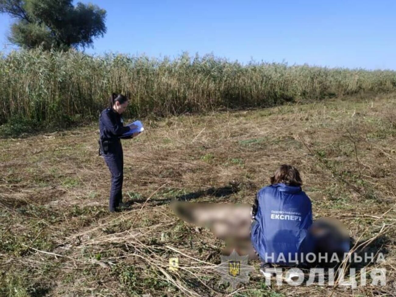 Потерпілий загинув на місці