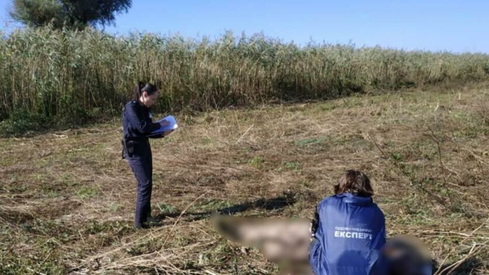 Потерпілий загинув на місці