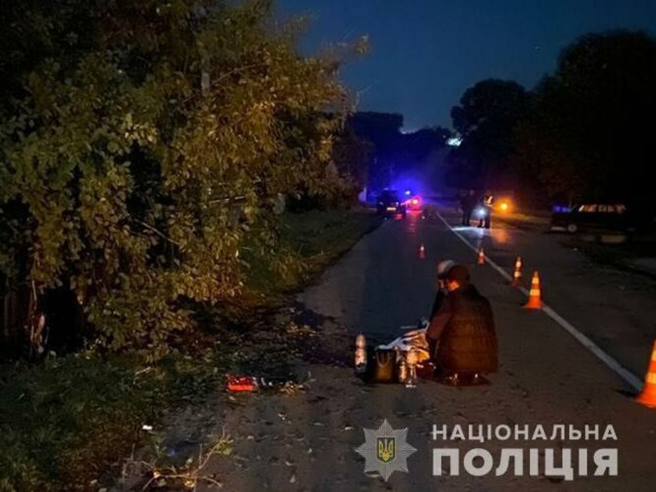 Водія та одного з пішоходів доправили в лікарню