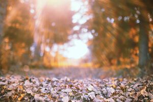 В большинстве регионов Украины дождей на следующей неделе не будет, сообщила Диденко