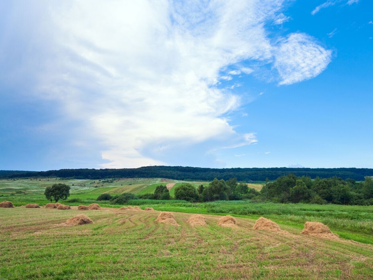 37% українців дотримуються думки, що земля не може бути об'єктом купівлі-продажу