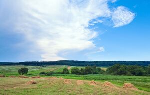 37% украинцев придерживаются мнения, что земля не может быть объектом купли-продажи